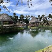 Paradise Lagoon