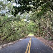Matheson Hammock Park