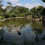 Miami-Dade Zoological Park and Gardens