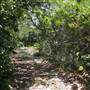 South Dade Wetlands
