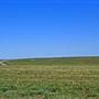 Northwest 58th Street Wetland