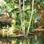 HTM00439 – Jungle Paradise