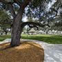 Circle Park