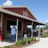 Accursio's Farmers Market