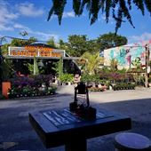 Midtown Garden Center