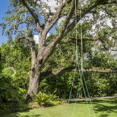 HCO22085 – Tree Swing