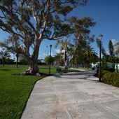 Flamingo Park