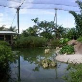 Miami-Dade Zoological Park and Gardens