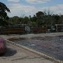 Miami-Dade Zoological Park and Gardens