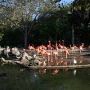 Miami-Dade Zoological Park and Gardens