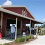 Accursio's Farmers Market