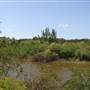 South Dade Wetlands