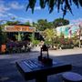 Midtown Garden Center