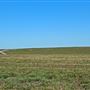 Northwest 58th Street Wetland