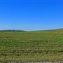 Northwest 58th Street Wetland
