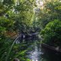 Miami-Dade Zoological Park and Gardens