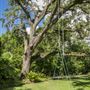 HCO22085 – Tree Swing