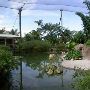 Miami-Dade Zoological Park and Gardens