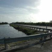Tamiami Trail