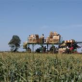 Borek Farms