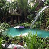 Paradise
