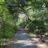 AD Barnes Park - Nature Center