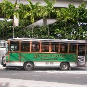 Metro Bus Historic Trolley