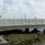 Venetian Causeway