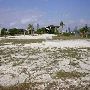 Marine Stadium Parking Lot