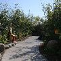 Miami-Dade Zoological Park and Gardens