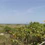 Bill Baggs State Park