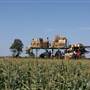 Borek Farms