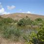 South Dade Wetlands