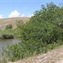 South Dade Wetlands