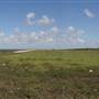 South Dade Wetlands
