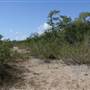 South Dade Wetlands