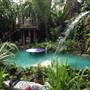 Paradise