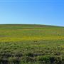 Northwest 58th Street Wetland