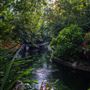 Miami-Dade Zoological Park and Gardens