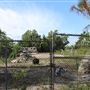 PARROT RANCH