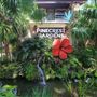 Pinecrest Gardens