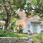 Tropical Pink House
