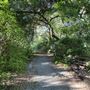 AD Barnes Park - Nature Center