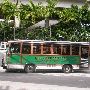 Metro Bus Historic Trolley