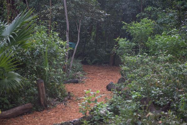 Arch Creek Park