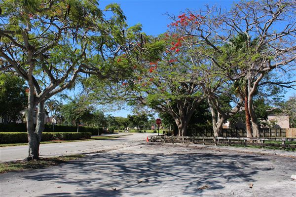 Forest Lakes Park