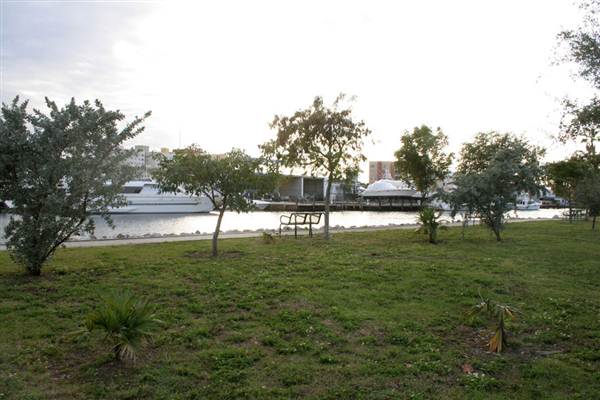 Spring Garden Point Park (1/27/2011 - Credits: Dorothea "Dee" Belz)