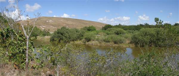 South Dade Wetlands (4/16/2015 - Credits: Dorothea "Dee" Belz)