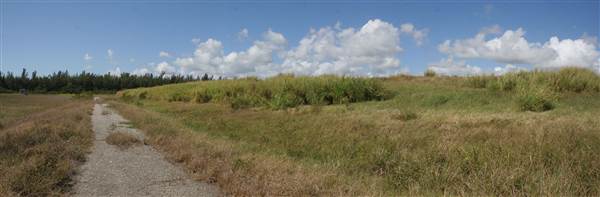 South Dade Wetlands (4/16/2015 - Credits: Dorothea "Dee" Belz)