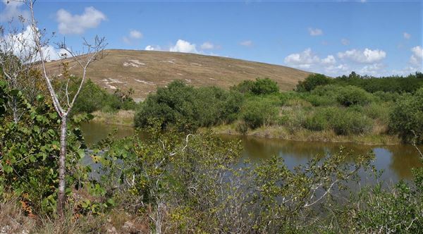 South Dade Wetlands (4/23/2020)
